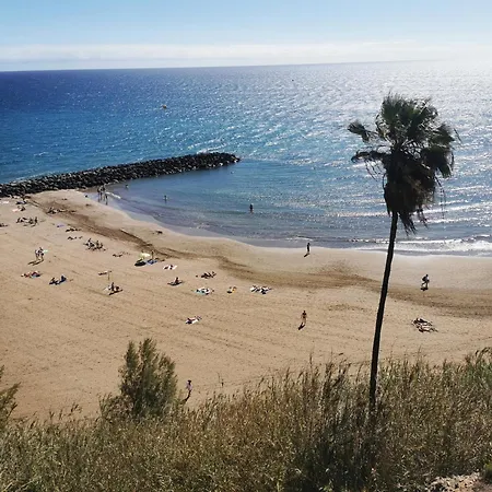 La Preciosa San Agustín